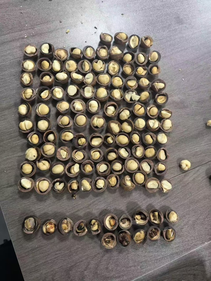 大批量的夏威夷果电商低价出