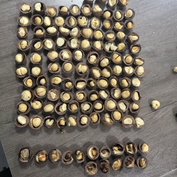 电商夏威夷果低价需要货的联系