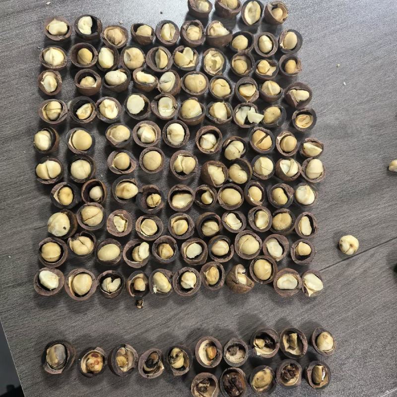 夏威夷果几块钱的货需要的联系