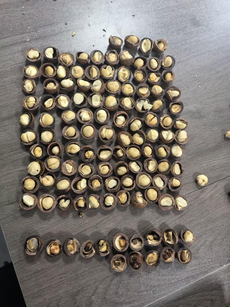 夏威夷果几块钱的货需要的联系