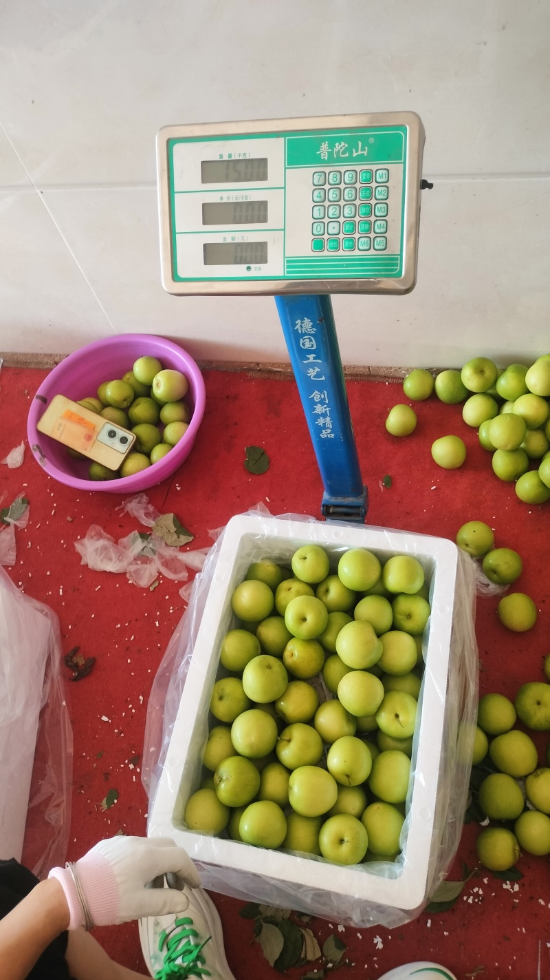 牛奶枣口感清甜爽脆