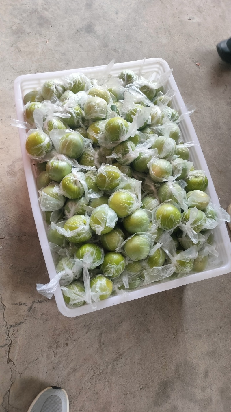 牛奶枣口感清甜爽脆
