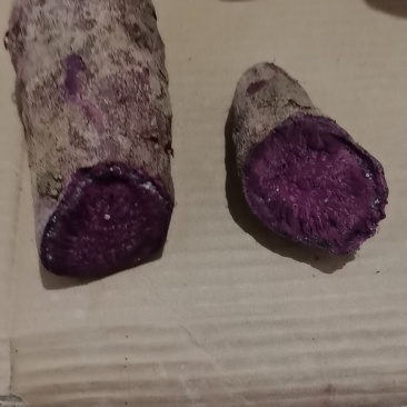 紫薯产地一手货源，量大优惠欢迎新老客户合作