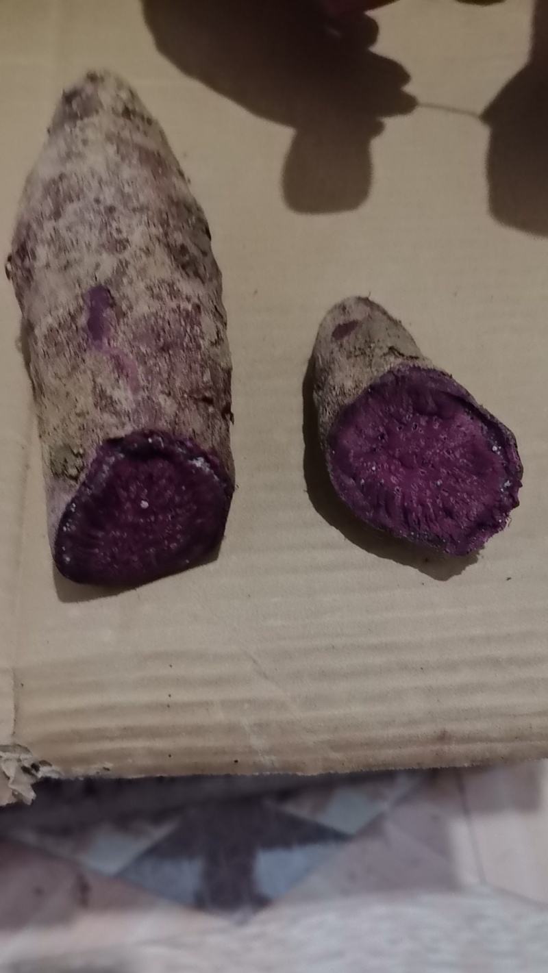 紫薯产地一手货源，量大优惠欢迎新老客户合作