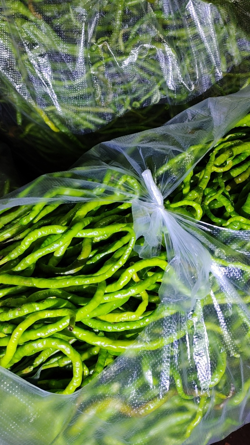 鸡爪椒。大量上市。