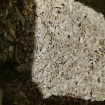甘肃岷县原产地黄芪片残料黄芪沫子