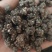 水洗三遍猫爪草足两斤家种有货中统草净货，大货