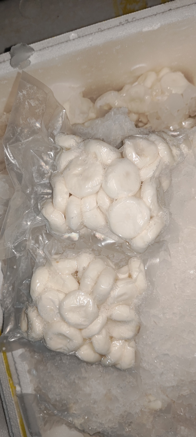 水洗大马蹄