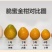 融安脆蜜金桔4号果