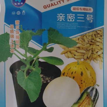 浪潮牌亲密三号甜瓜香瓜专用砧木种子正品杂交一代抗病嫁接