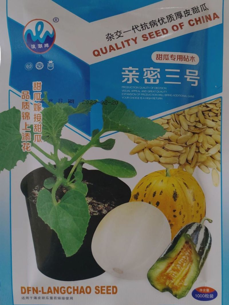 浪潮牌亲密三号甜瓜香瓜专用砧木种子正品杂交一代抗病嫁接