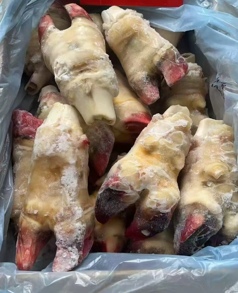 带骨前牛蹄