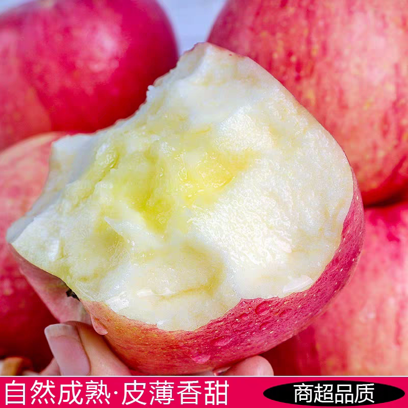 (一件代发）山西红富士苹果大量现货供应对接各大电商团购