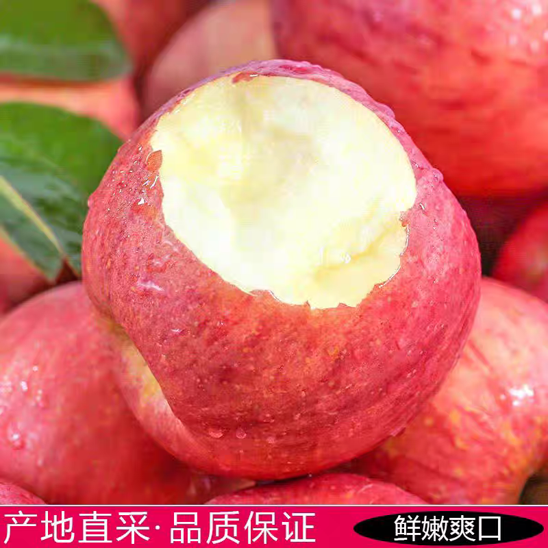 (一件代发）山西红富士苹果大量现货供应对接各大电商团购