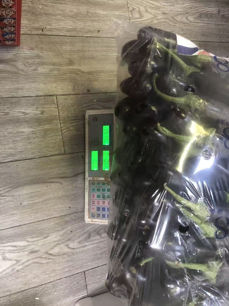 高山带刺黄瓜2箱紫茄子8袋
