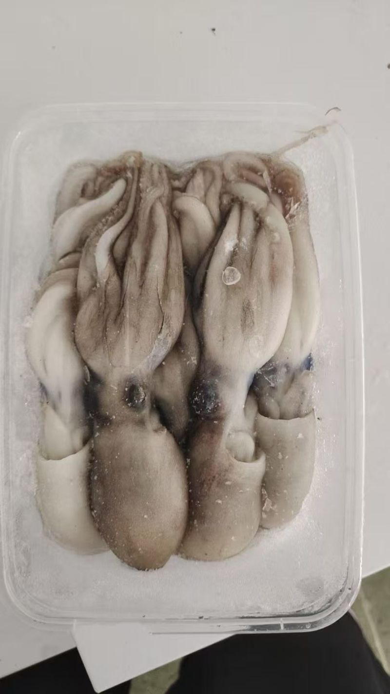 北部湾新鲜船冻八爪鱼，***，口感自然鲜香。