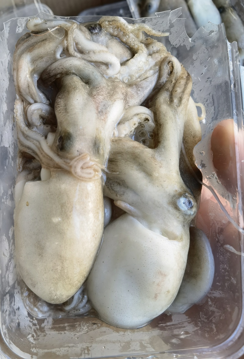 北部湾新鲜船冻八爪鱼，***，口感自然鲜香。