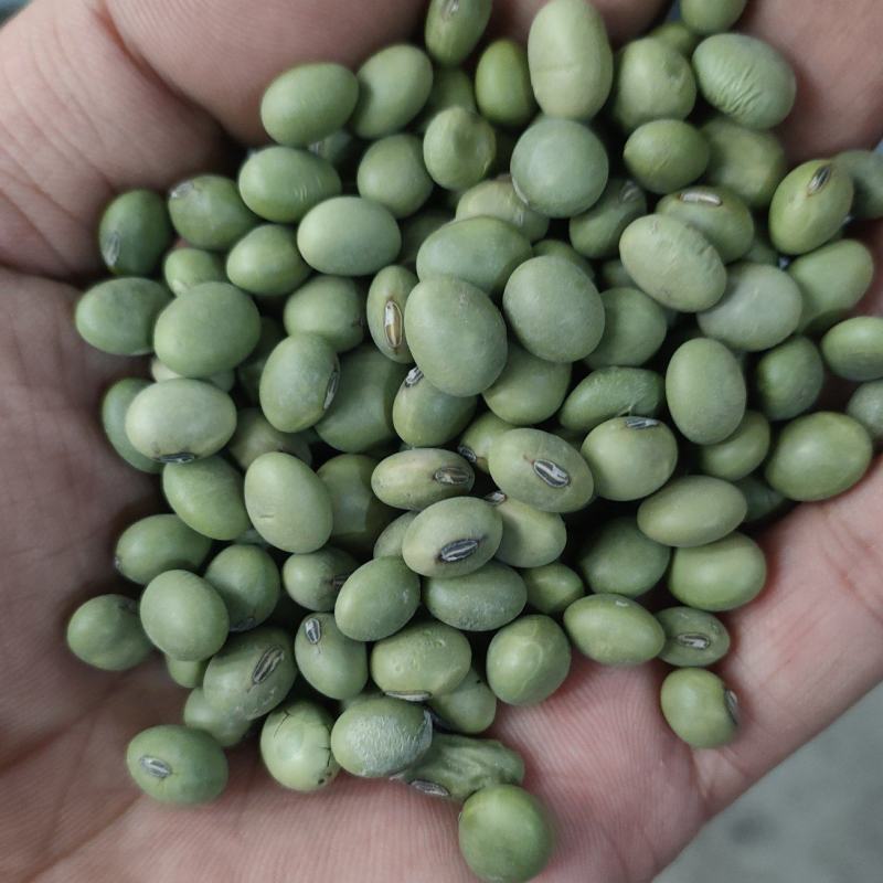 双青豆《百顺青豆》黑眉青豆,水法，炒货，烘焙、