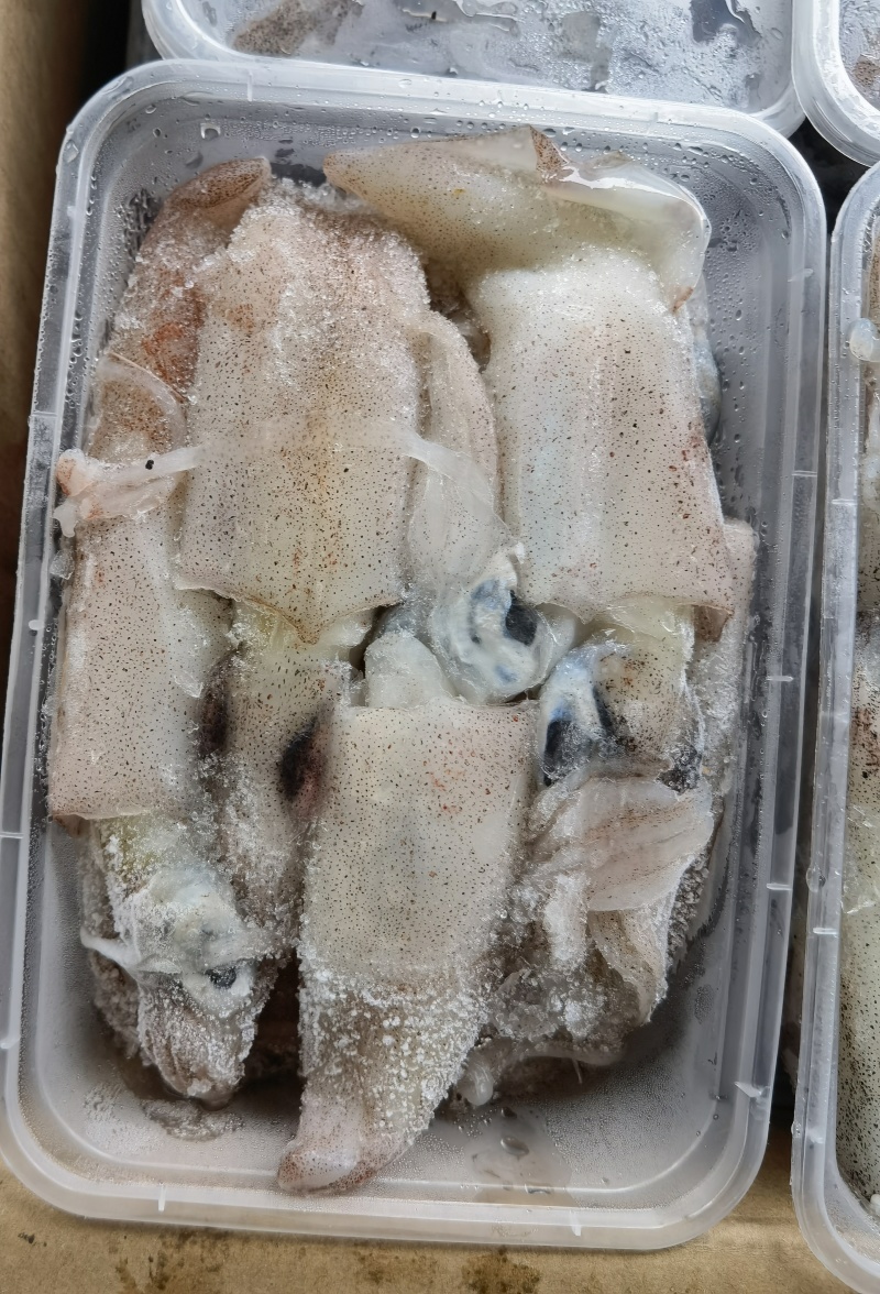 北部湾船冻鱿鱼仔，真正***，口感鲜甜。