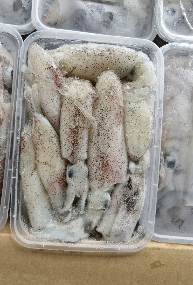 北部湾船冻鱿鱼仔，真正***，口感鲜甜。