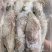 北部湾船冻鱿鱼仔，真正***，口感鲜甜。