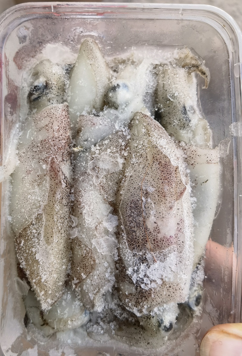 北部湾船冻鱿鱼仔，真正***，口感鲜甜。