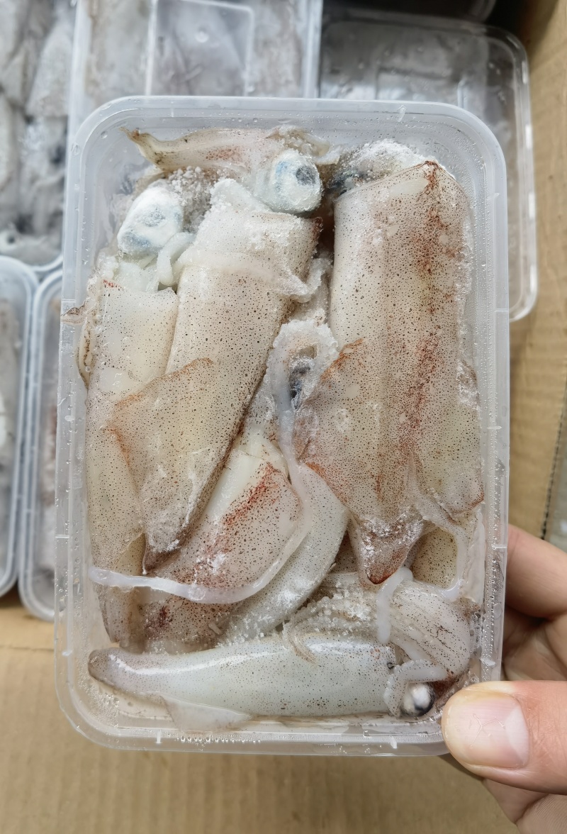 北部湾船冻鱿鱼仔，真正***，口感鲜甜。