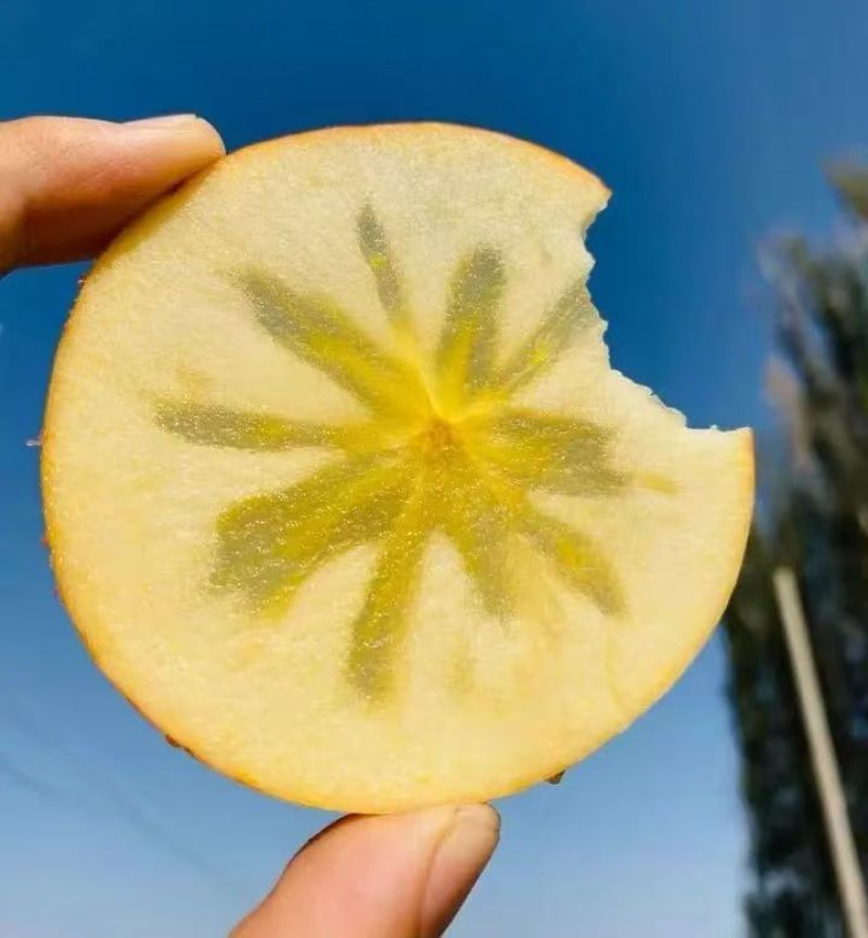 阿克苏冰糖心苹果