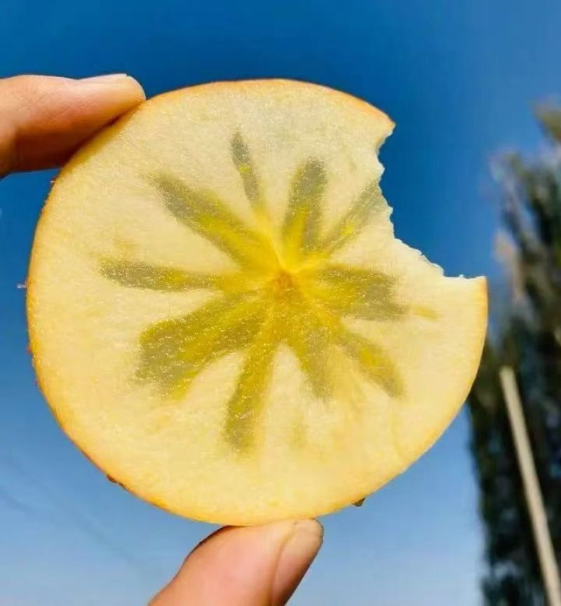 阿克苏冰糖心苹果
