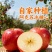 阿克苏冰糖心苹果