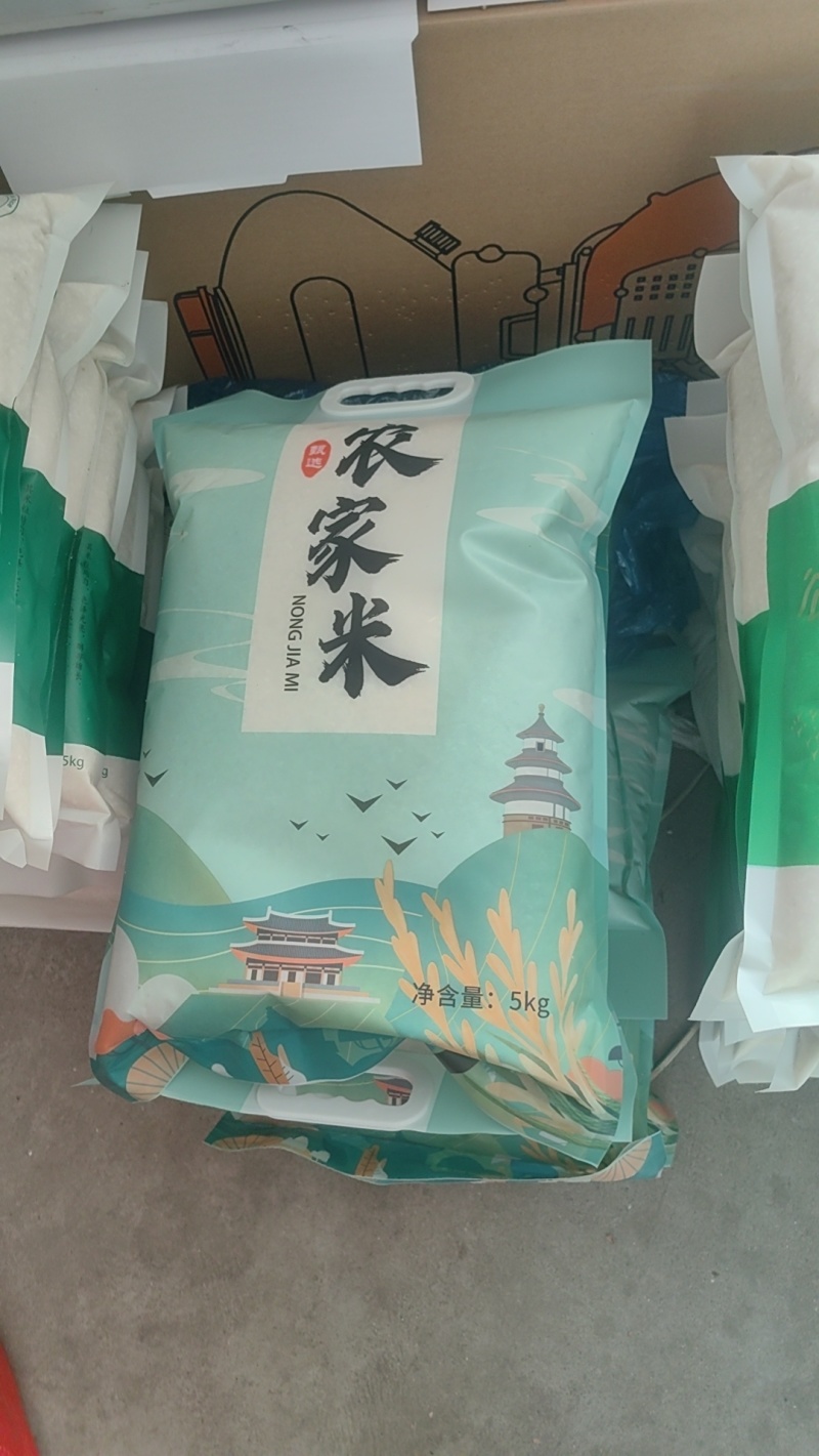 上师大19大米