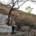 涉县无核黑枣产地直发电商批发商