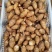 山东芋头豆包芋头8520芋头货源充足产地直发