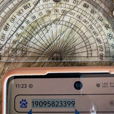 3号吊瓜子