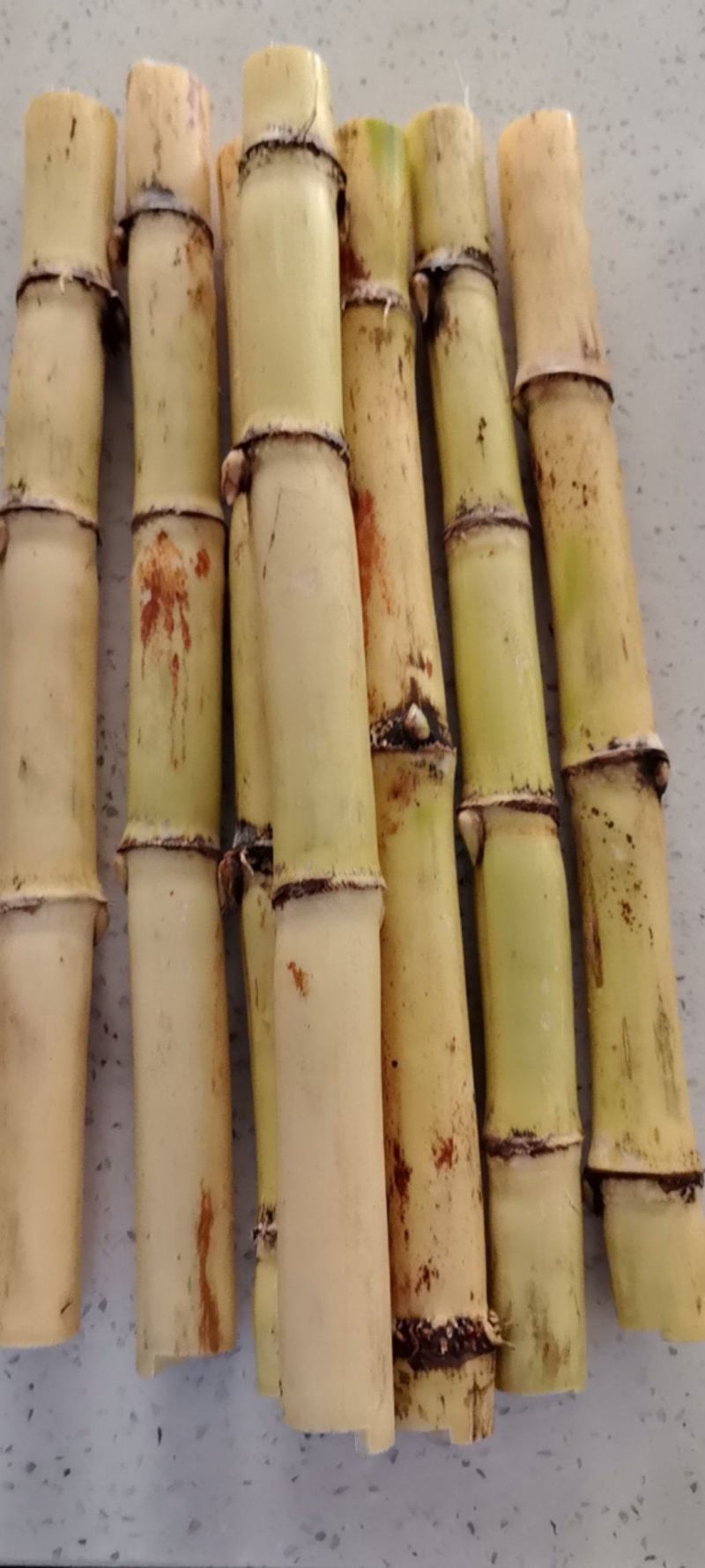 广西木格白玉甘蔗清甜每天可以大量供应欢迎各位老板