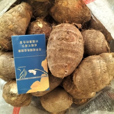 山东牛奶芋头，豆包芋头，8520货源充足常年供应