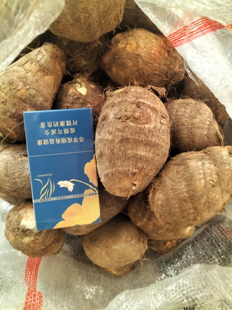 山东牛奶芋头，豆包芋头，8520货源充足常年供应