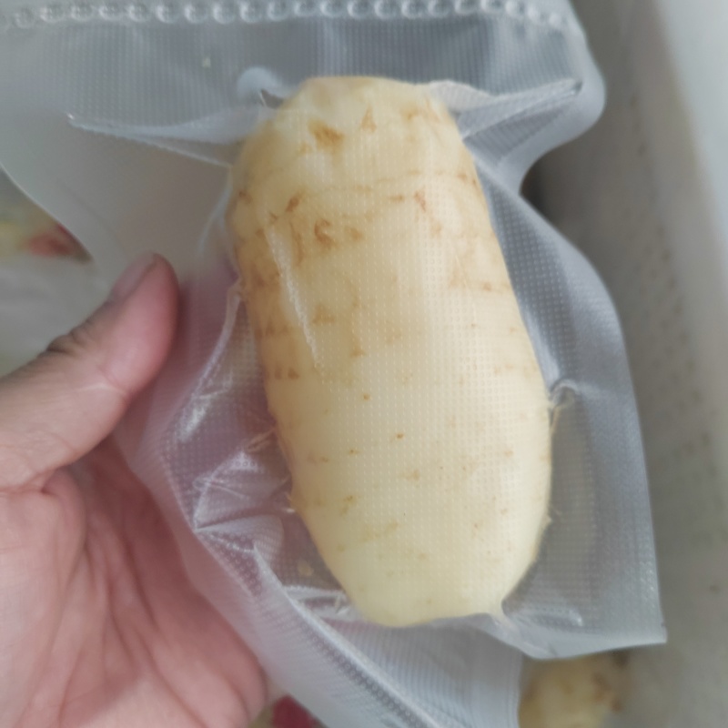 新鲜天麻，干片