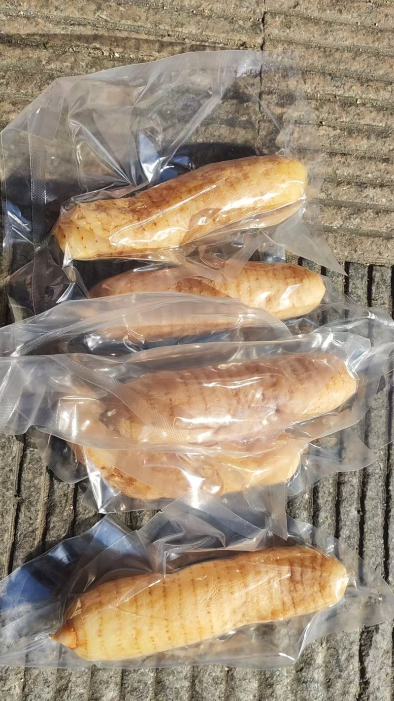 新鲜天麻，干片