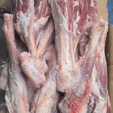 羔羊后腱一手货源