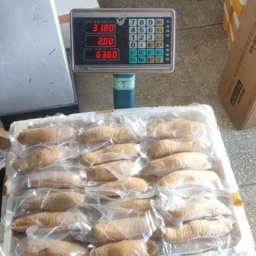 新鲜天麻，干片