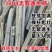 速生杨树苗3804杨树苗白杨树苗无絮园林绿化树苗扦插条