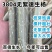 速生杨树苗3804杨树苗白杨树苗无絮园林绿化树苗扦插条