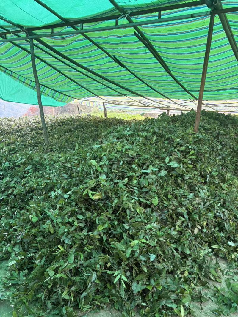 淫羊藿，基地直供，量大从优