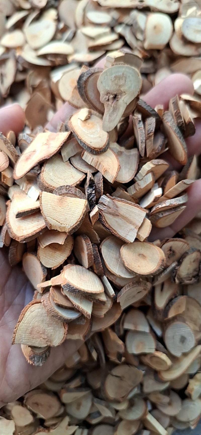 秋季桂枝，色黄，味香，投料，打粉泡脚品质保证量大从优