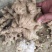 白口大肉姜，全国发货，诚信经营，可视频看货，量大从优