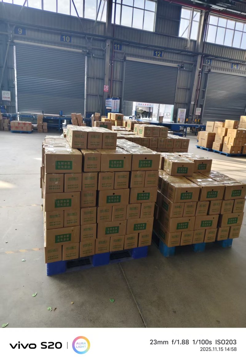 湖北脐橙纽荷尔橙子电商代发，可供市场，产地低价大量上市中