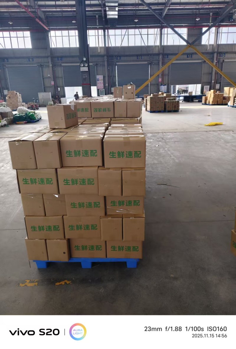 湖北脐橙纽荷尔橙子电商代发，可供市场，产地低价大量上市中