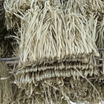 【河北红薯粉条】粉条基地，粉条规格齐全，对接商超电商等