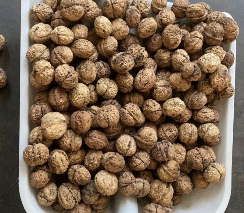 云南大姚山咔品种核桃产地直发量大从优可视频看货对接